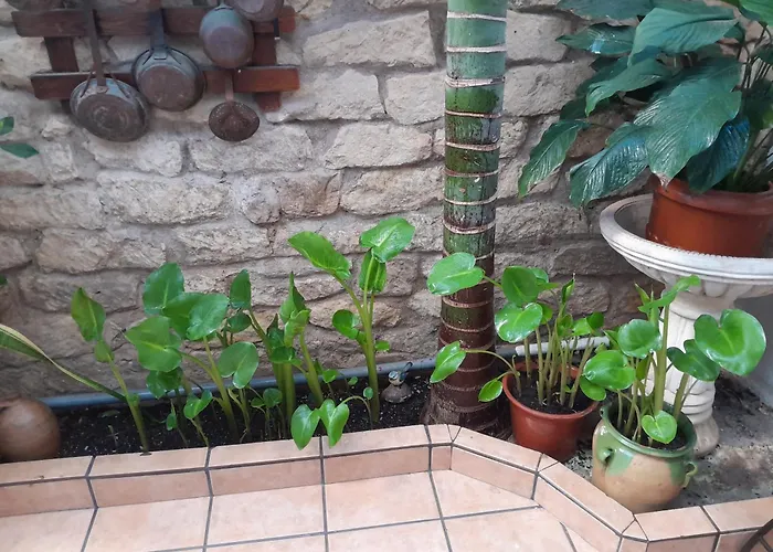 Antonio Guesthouse Alicante